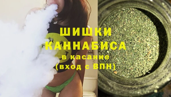 spice Краснослободск