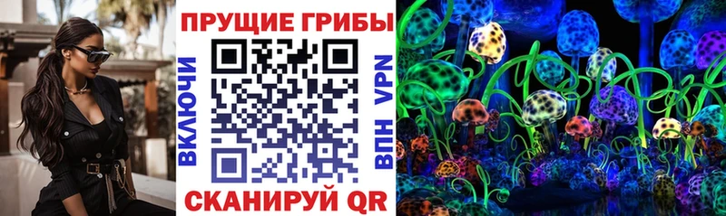 Галлюциногенные грибы мицелий  Тихорецк 