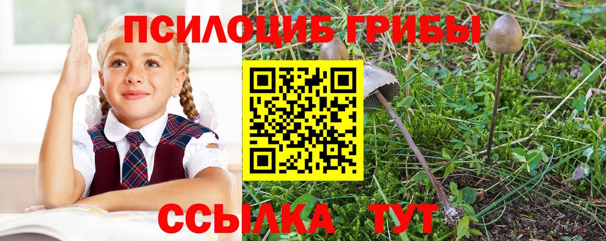 Тихорецк  Псилоцибиновые грибы Magic Shrooms  Вход с VPN 